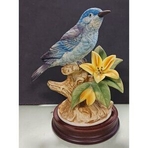 Mountain Bluebird by Andrea #8627